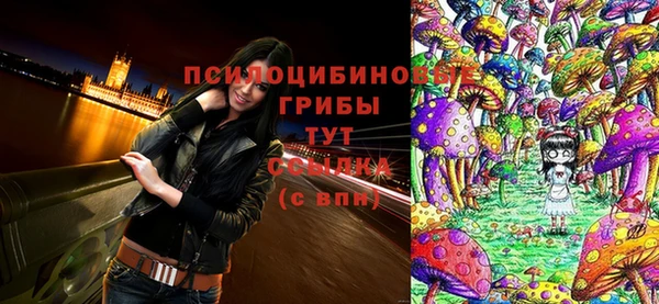 индика Алзамай