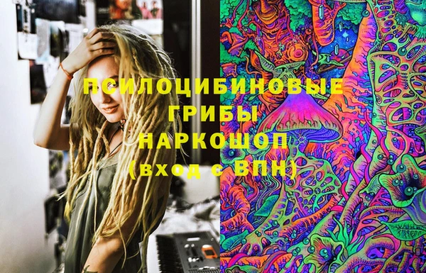 индика Алзамай