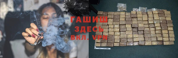 индика Алзамай