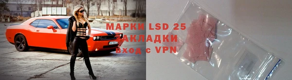 индика Алзамай