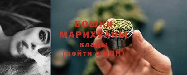 прущие грибы Бикин