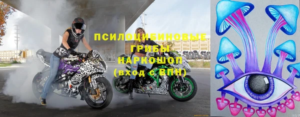 индика Алзамай