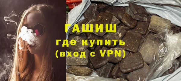 индика Алзамай