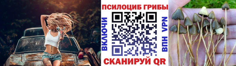 Галлюциногенные грибы мицелий  Цоци-Юрт 