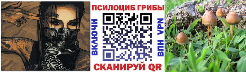 Галлюциногенные грибы мицелий Цоци-Юрт